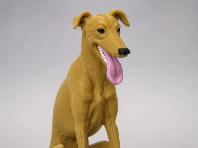 Myke | Perro galgo