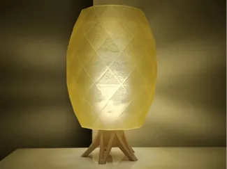 Shape Design Lamp