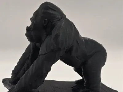 Gorilla