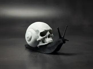 Snail Skull
