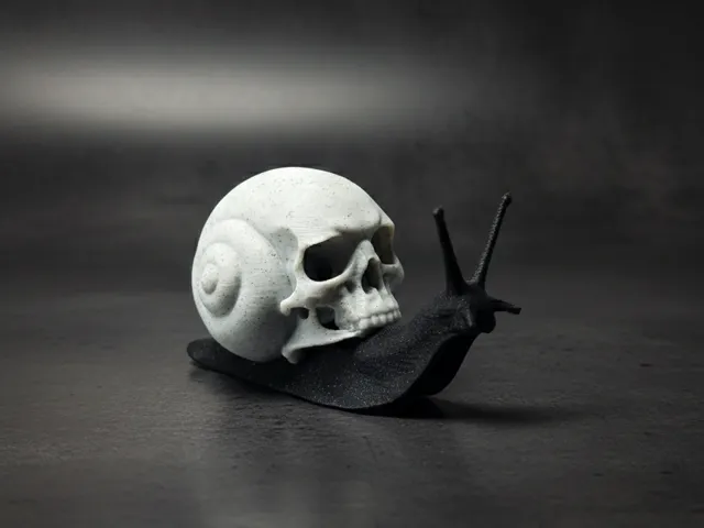 Snail Skull