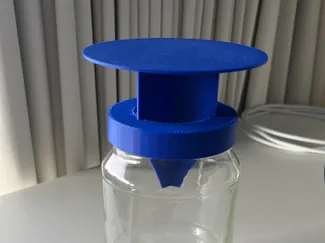 Hornet trap