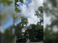 Save Filament (extra propeller INCLUDED)