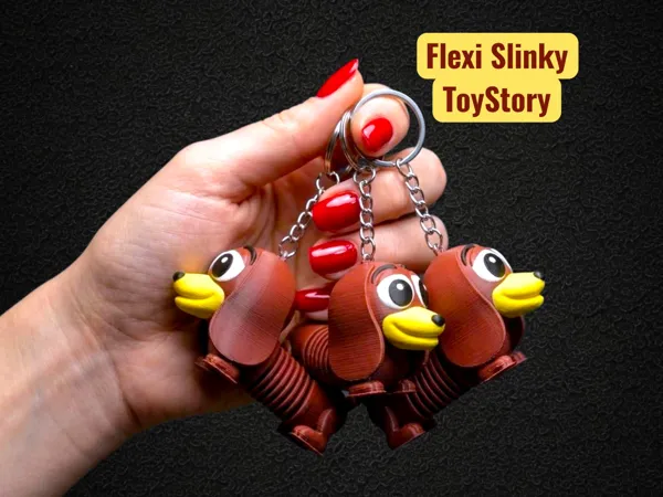 https://makerworld.bblmw.com/makerworld/model/USd7311ae01f09c3/design/2d65607f95a2b56e.jpg