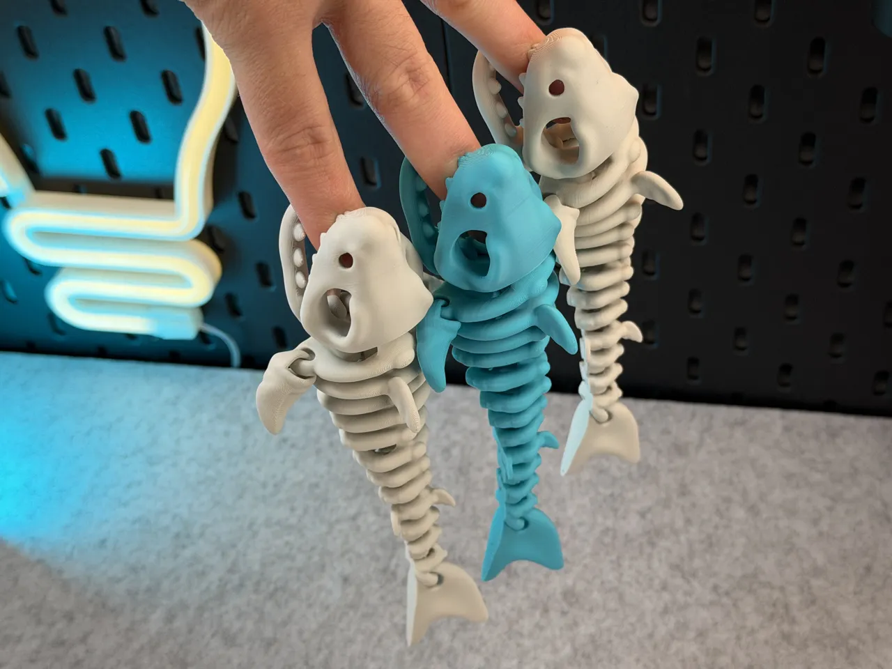 Articulated Skeleton Shark view 3