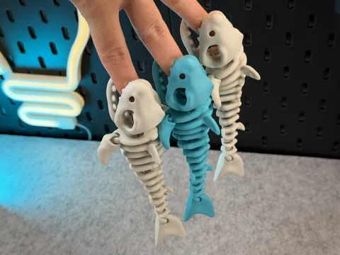 Articulated Skeleton Shark view 3
