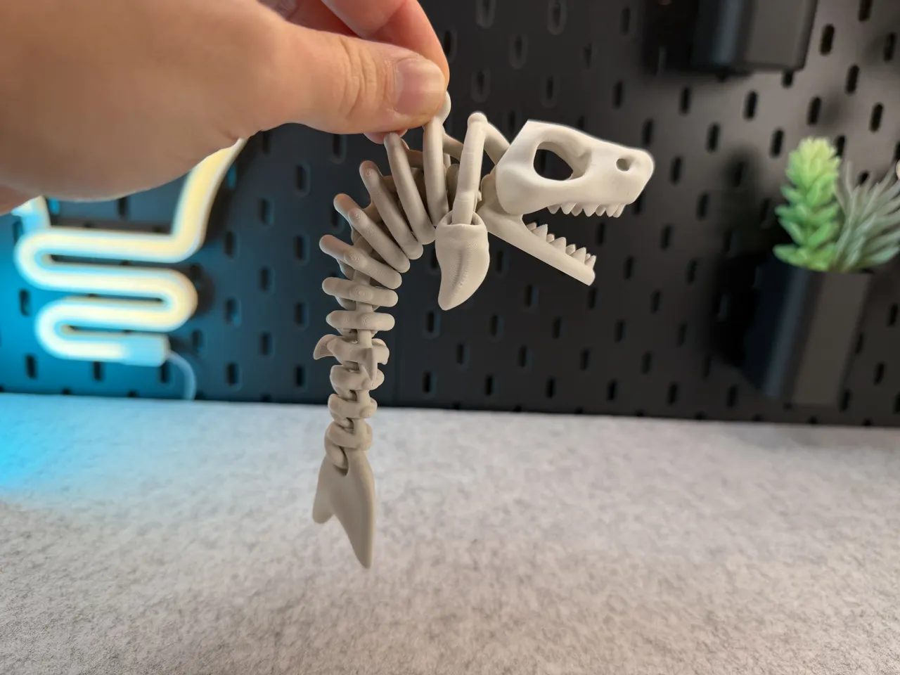 Articulated Skeleton Shark view 2