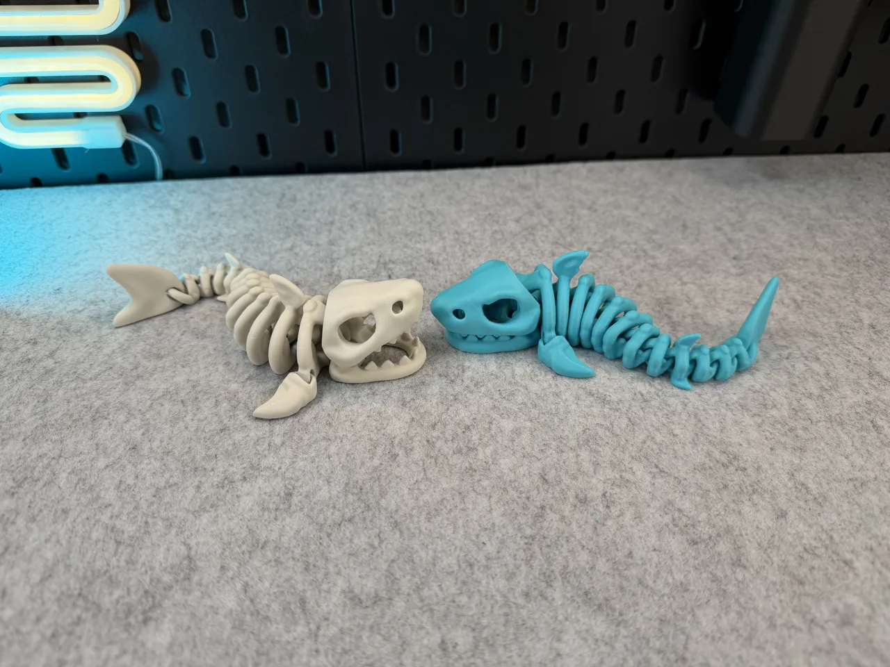 Articulated Skeleton Shark view 4