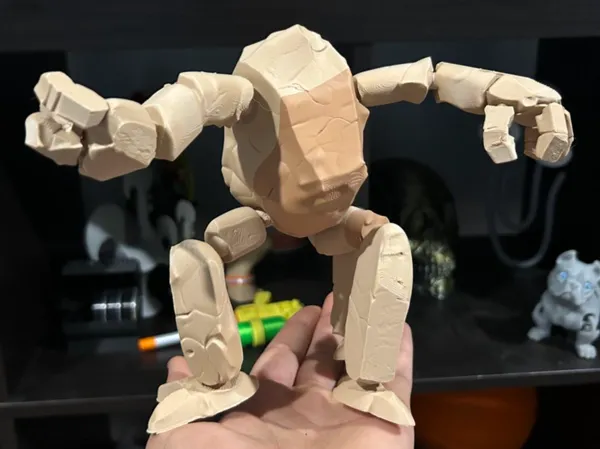 https://makerworld.bblmw.com/makerworld/model/USd737681a5b058a/design/2026-01-10_2d2e4420cf9e08.jpeg