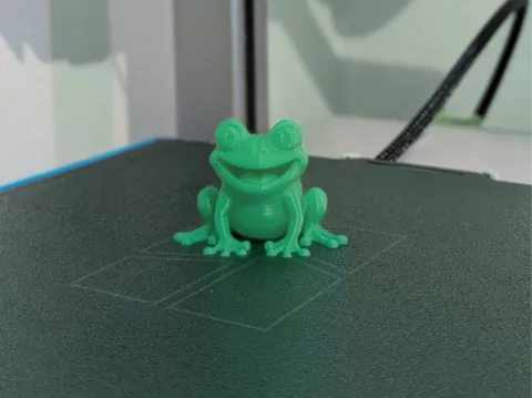 Little Frog with Big Smile - BubuFrog