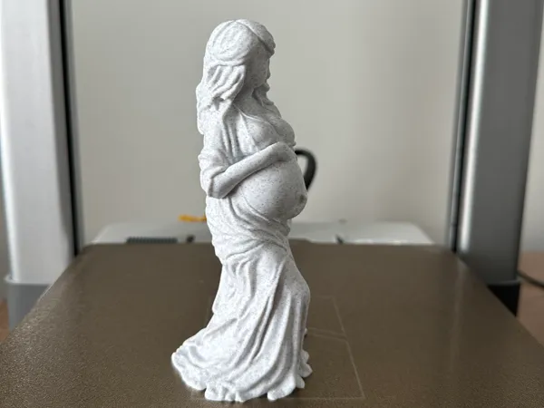 https://makerworld.bblmw.com/makerworld/model/USd73b5077295e4c/design/2025-05-20_db306d6ce529b8.jpeg