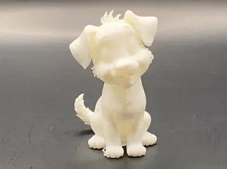small cute/sweet dog