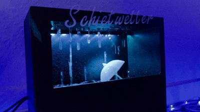 https://makerworld.bblmw.com/makerworld/model/USd73e7af48005a3/design/2026-01-05_e47f2fb487c01.gif
