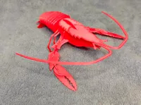 0.2mm 层高, 2 层墙, 15% 填充