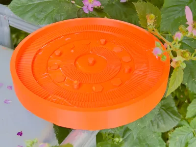 Bee & Bumblebee Watering Station