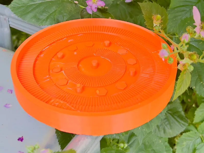 Bee & Bumblebee Watering Station