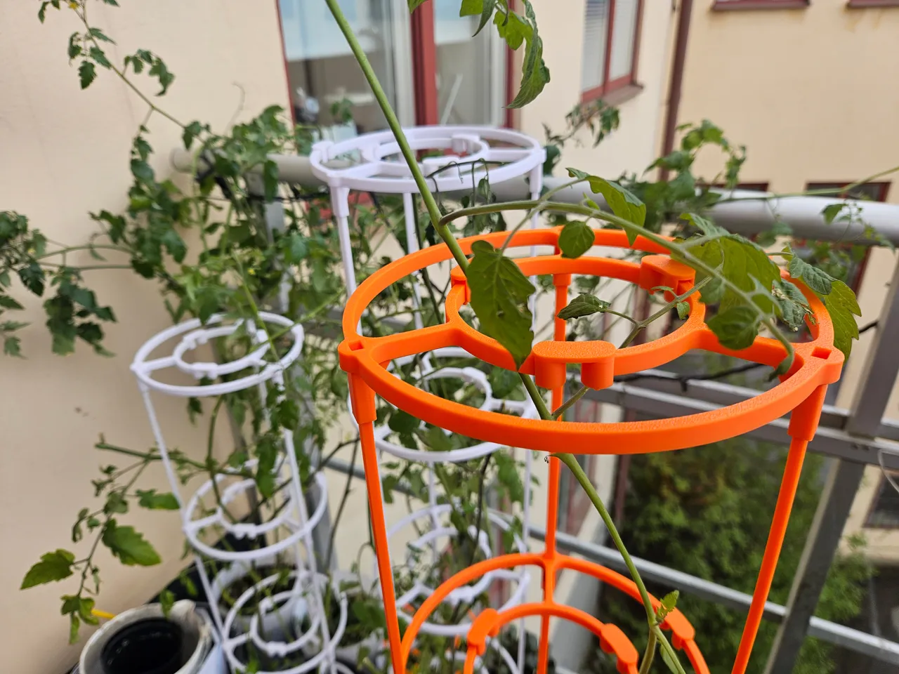 The Tomato System view 2