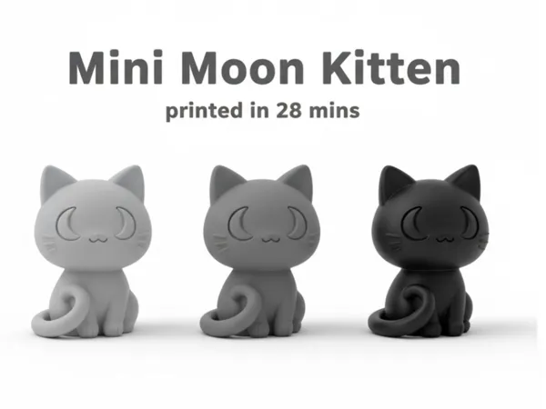 https://makerworld.bblmw.com/makerworld/model/USd74e5664c08365/design/2025-10-18_50af9626e58d58.jpg