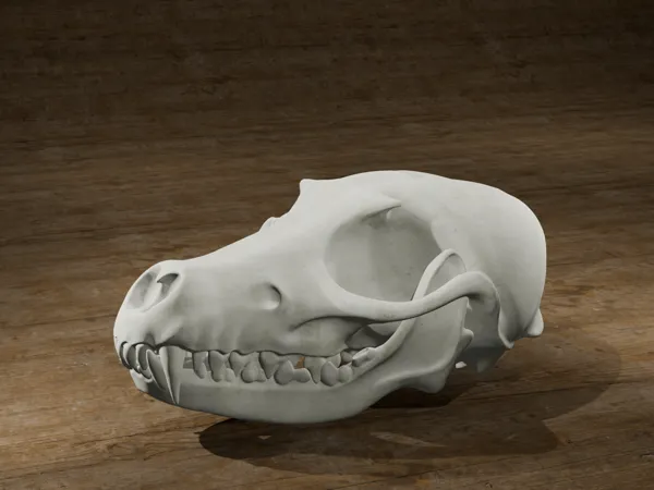 https://makerworld.bblmw.com/makerworld/model/USd7512bac8f34ec/design/2024-08-11_19a95e392e665.png