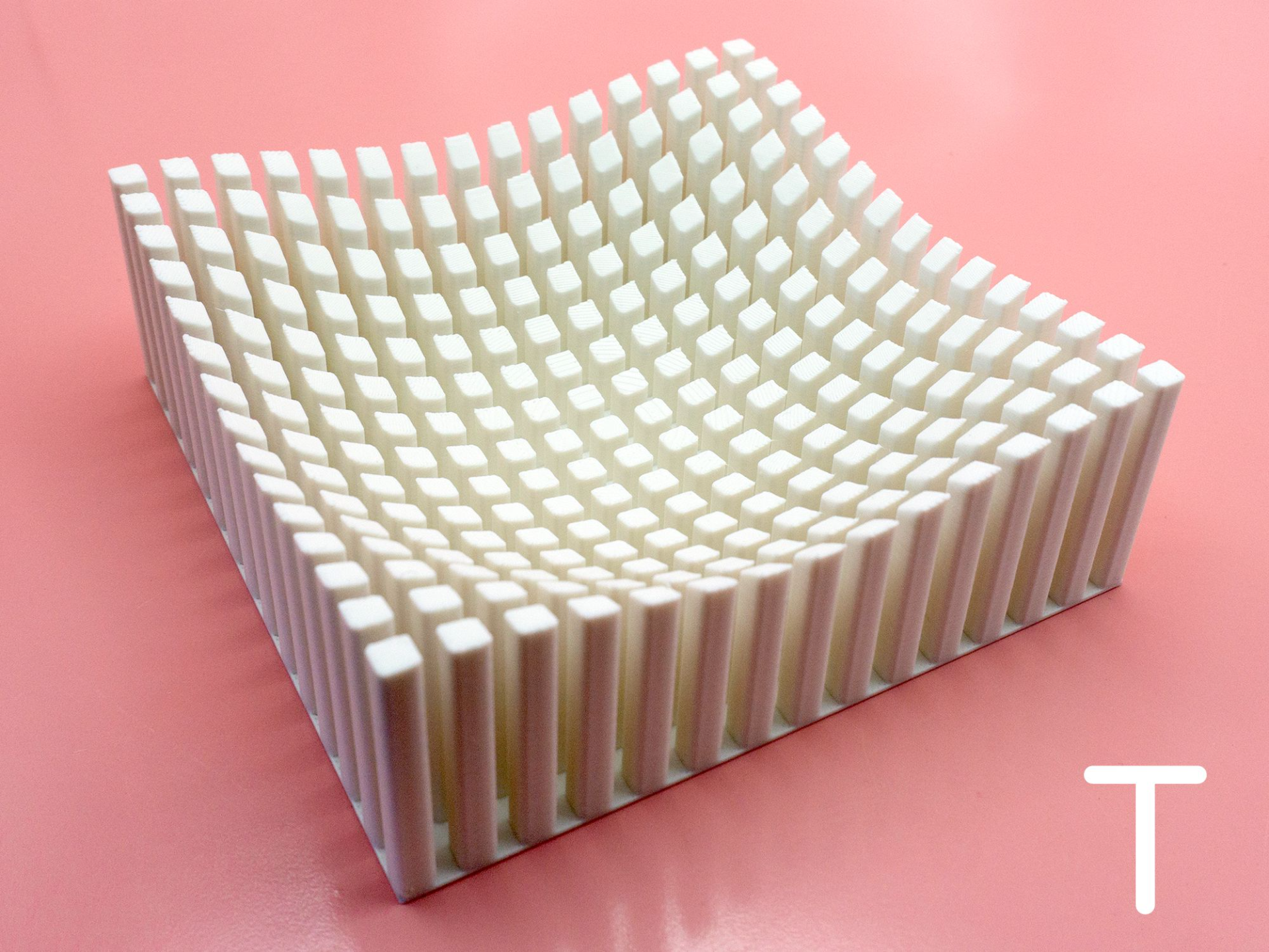 Catch All Tray T by Pork3D.com