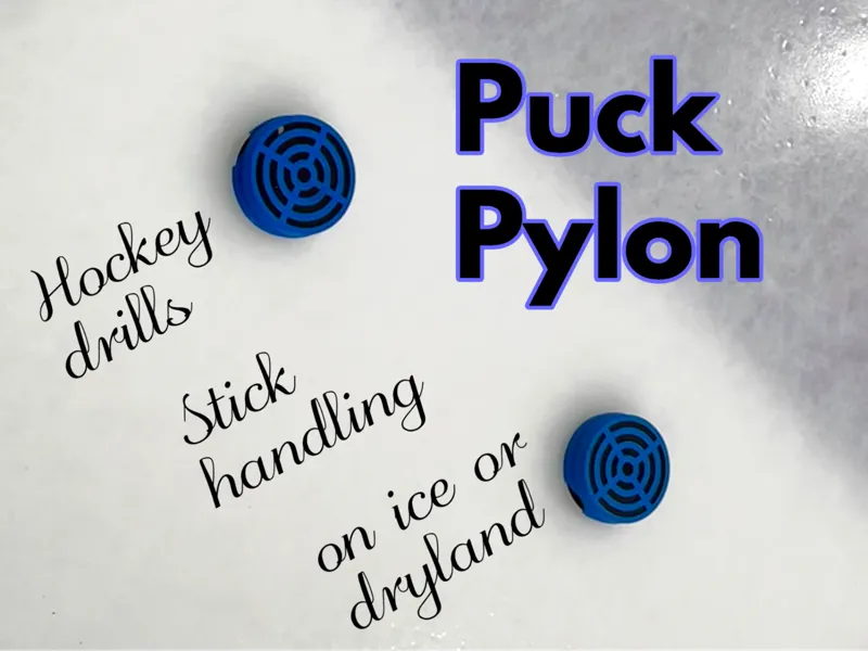Puck Pylon