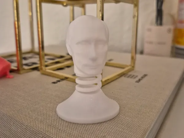 https://makerworld.bblmw.com/makerworld/model/USd7595153bc34fb/design/2025-01-14_0a3cdc5c09cea.jpg