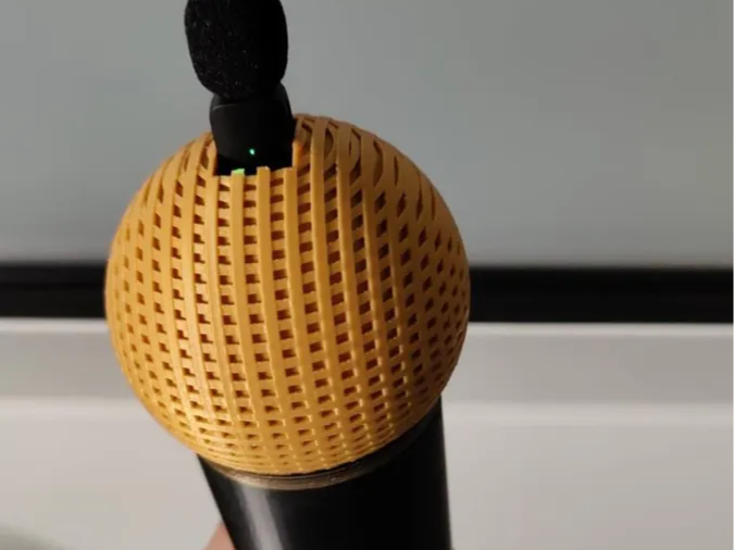 microphone for mini mic