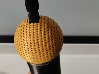 microphone for mini mic