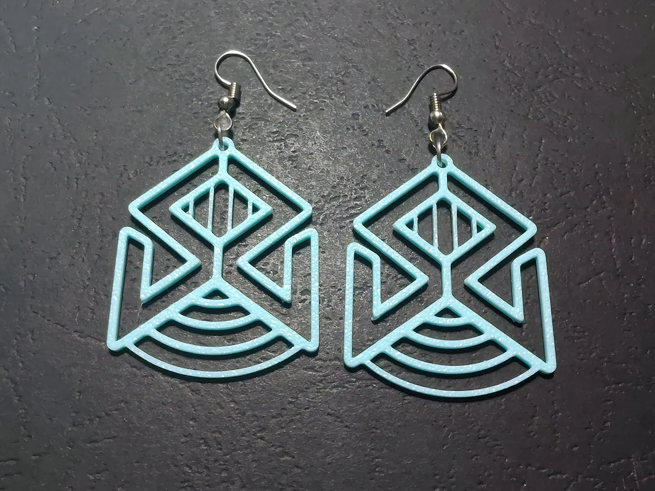 Shared Shelter Earrings view 3