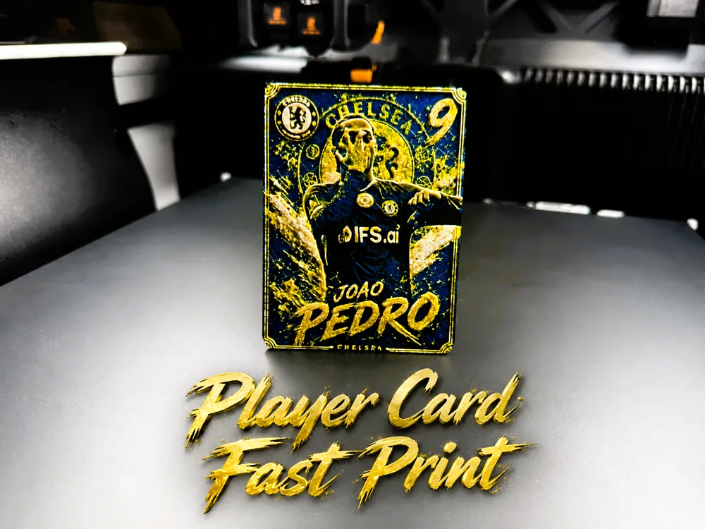 Modelo para impresión 3D: Joao Pedro Player Card. Referencia del modelo original.