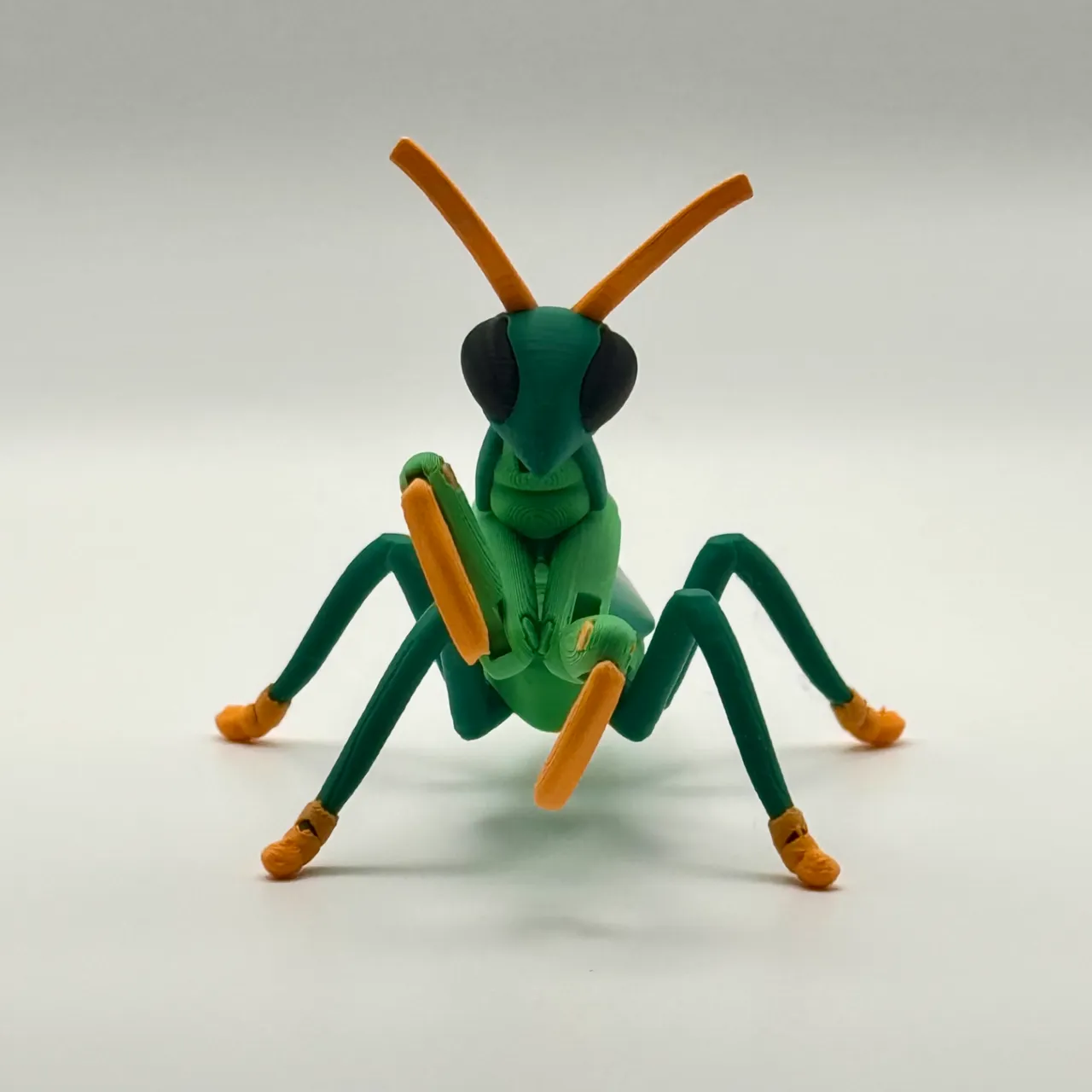 Articulated Pray Mantis! view 4