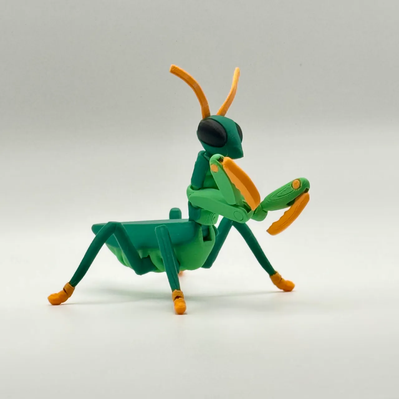 Articulated Pray Mantis! view 3