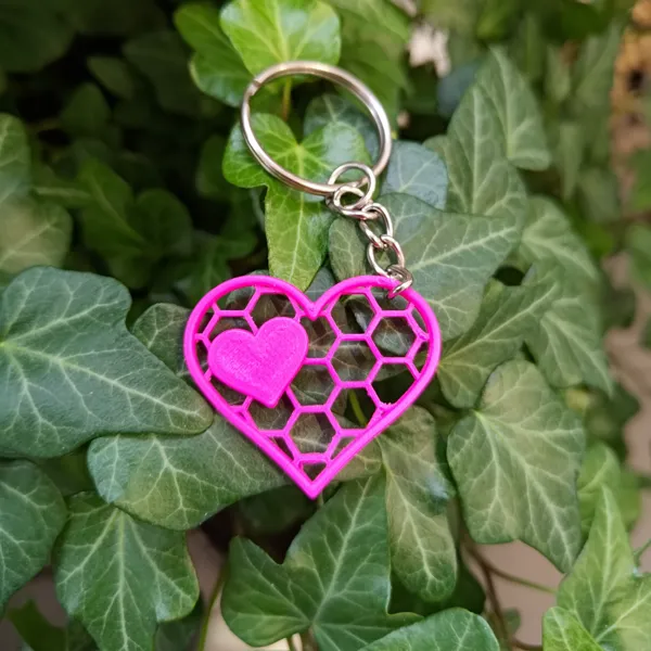 https://makerworld.bblmw.com/makerworld/model/USd76d2f68554970/design/2024-01-15_ef6eb368453ab.jpg