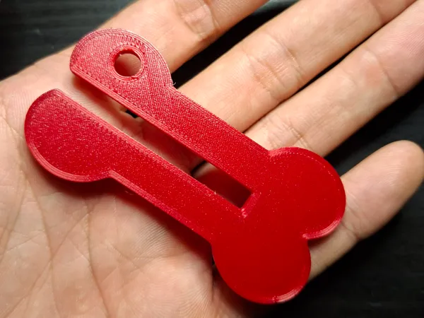 https://makerworld.bblmw.com/makerworld/model/USd76e25bcfba7de/design/2025-10-27_5dda74348a9d.jpg