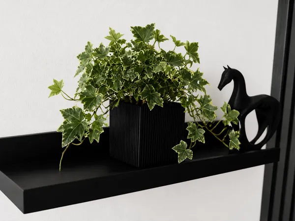 https://makerworld.bblmw.com/makerworld/model/USd777f29d81b98f/design/69957394e8dd6e80.png