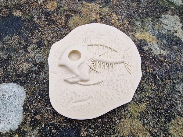 https://makerworld.bblmw.com/makerworld/model/USd77805e4a9284c/design/2025-03-23_3936da2be3f95.jpg