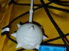 0.08mm layer, 2 walls, 15% infill