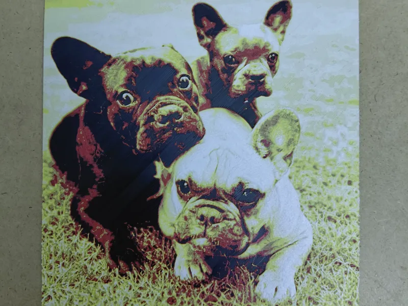 Quadro Bulldogs Frances