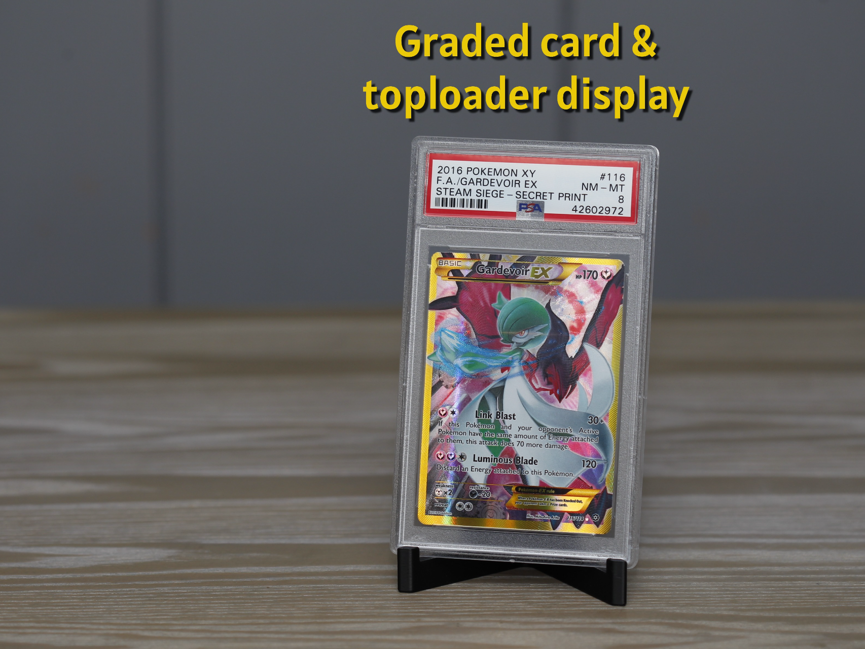 Graded Card & Toploader Display Stand