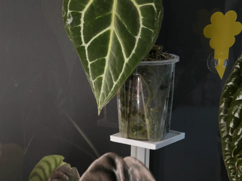 mensola porta piante vetrina IKEA MILSBO