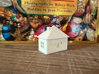 miniature house for Christmas 