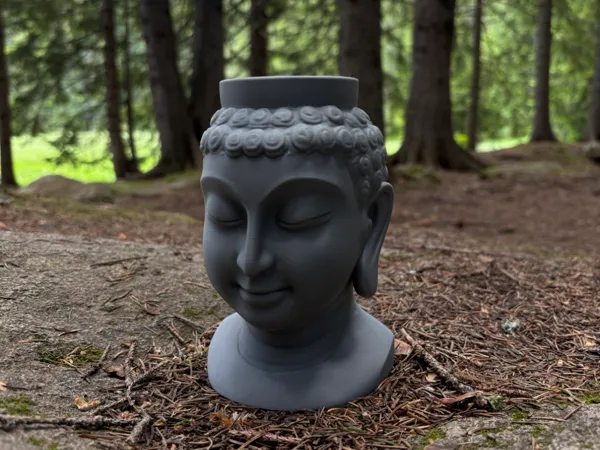 https://makerworld.bblmw.com/makerworld/model/USd78fa1dfe83539/design/2025-06-23_4b8838e9fd4e5.jpg