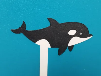 killer whale 