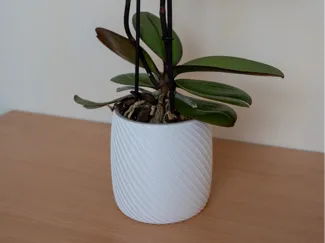 Übertopf / Vase Topfpflanze