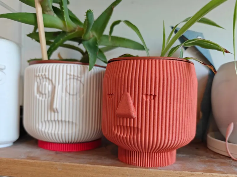 Vase mode planter head series: indian