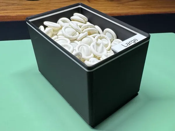 https://makerworld.bblmw.com/makerworld/model/USd79329cf02c65f/design/2025-05-26_3981aaf36b3028.jpg