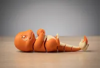 Charmander 4 colors