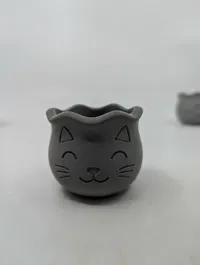 Small pots 2x2x1.5 inch 0.2mm layer, 4 walls, 5% infill