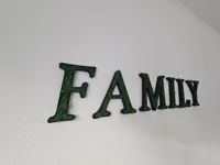0.08mm layer, 3 walls, 25% infill