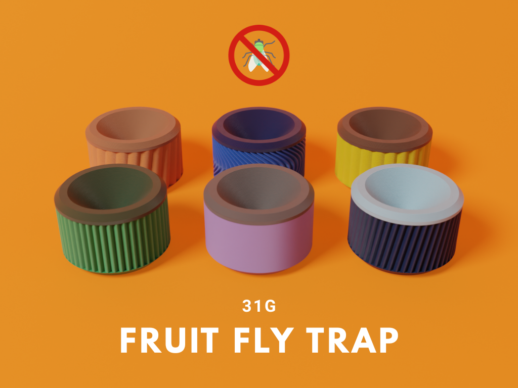 Small fruit fly trap